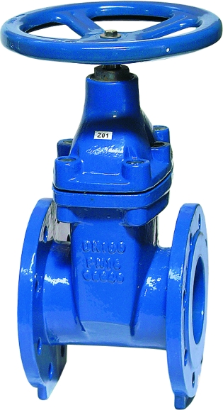 Ductile iron valve