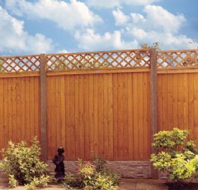 Closeboard Gate