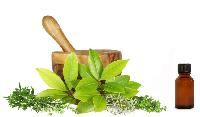 ayurvedic herbal medicine