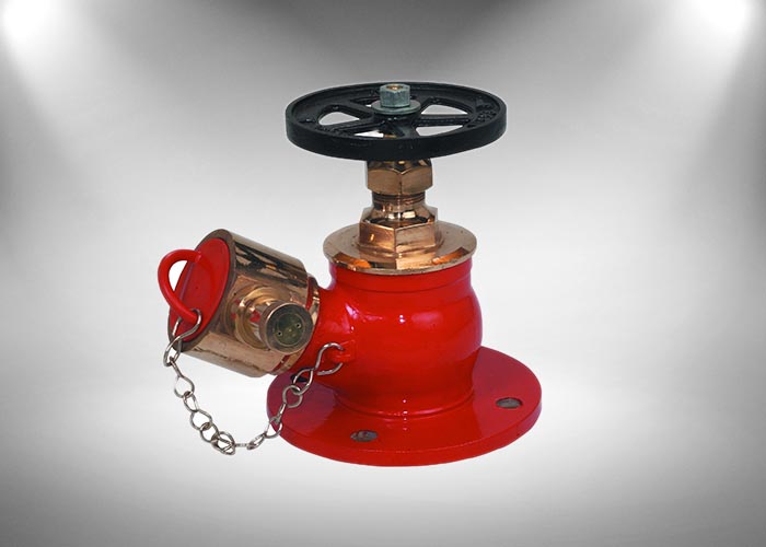Double Headed Fire Hydrant Valve