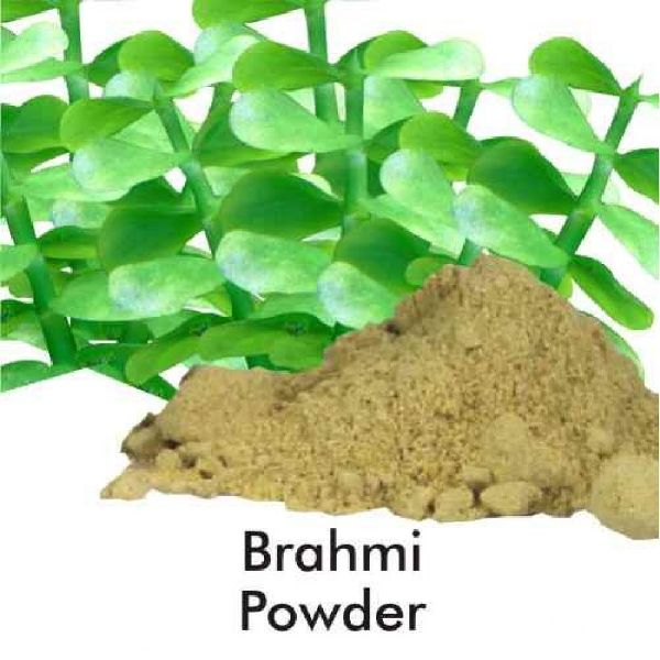 Brahmi Powder, Grade Standard : Medicine Grade