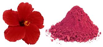 Hibiscus Powder, Packaging Size : 100, 200, 300, 50gm Etc