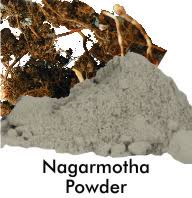 Nagarmotha Powder, Packaging Size : 100, 200, 300, 50gm Etc