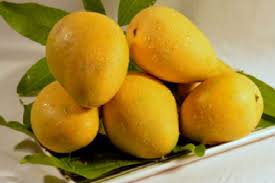 banginapalli mangoes