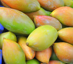 totapuri mangoes