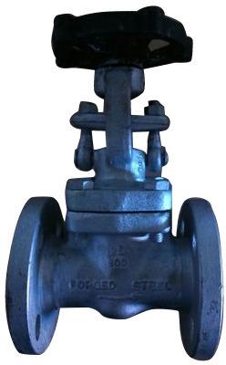 Forging Globe Valve