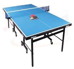 Table Tennis Table