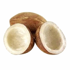 coconut copra