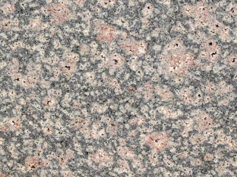 Bala Flower Granite