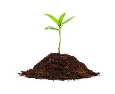 organic compost fertilizer