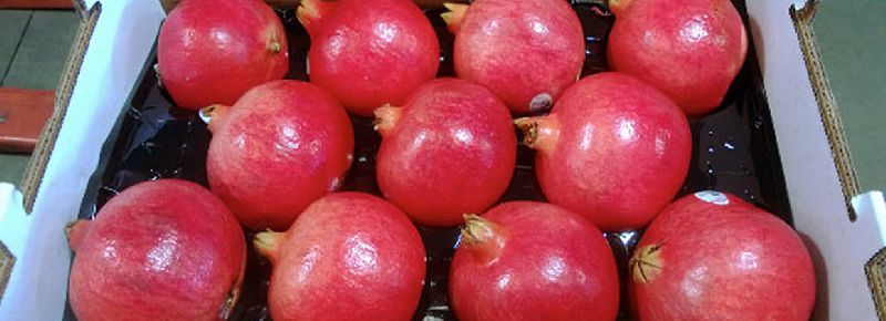 fresh pomegranate