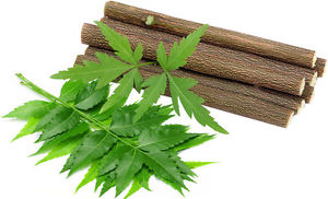 Neem brush