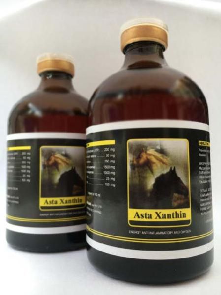 Asta Xanthin 100ml