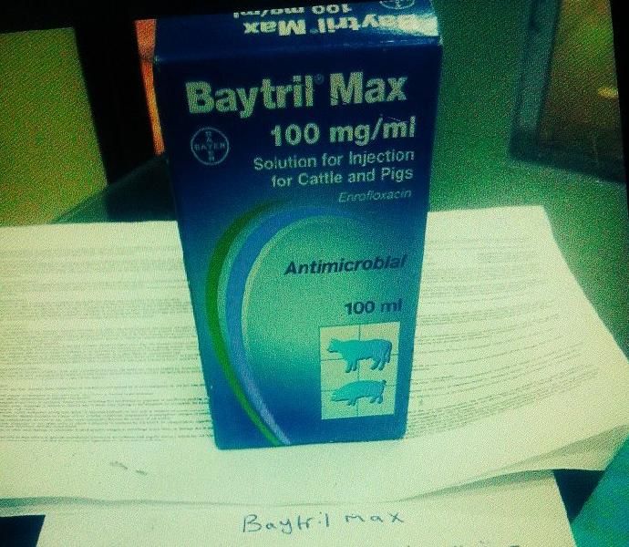 Baytril Max 100ml