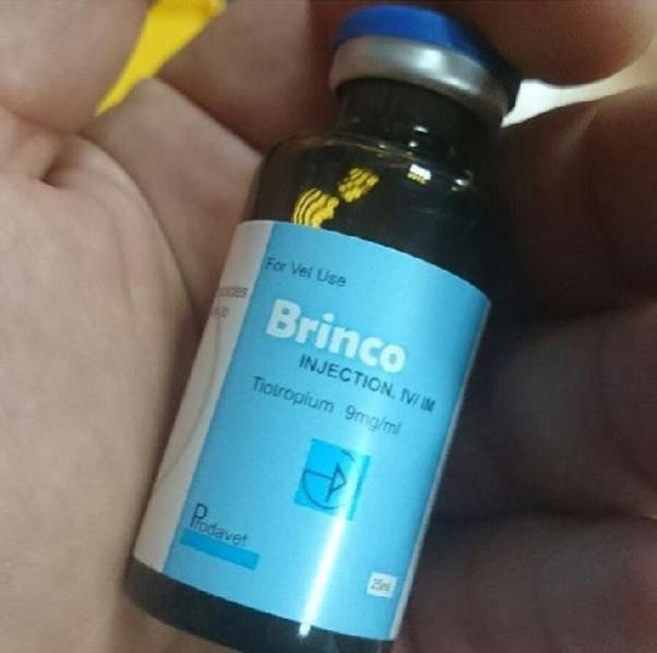 Brinco 25ml