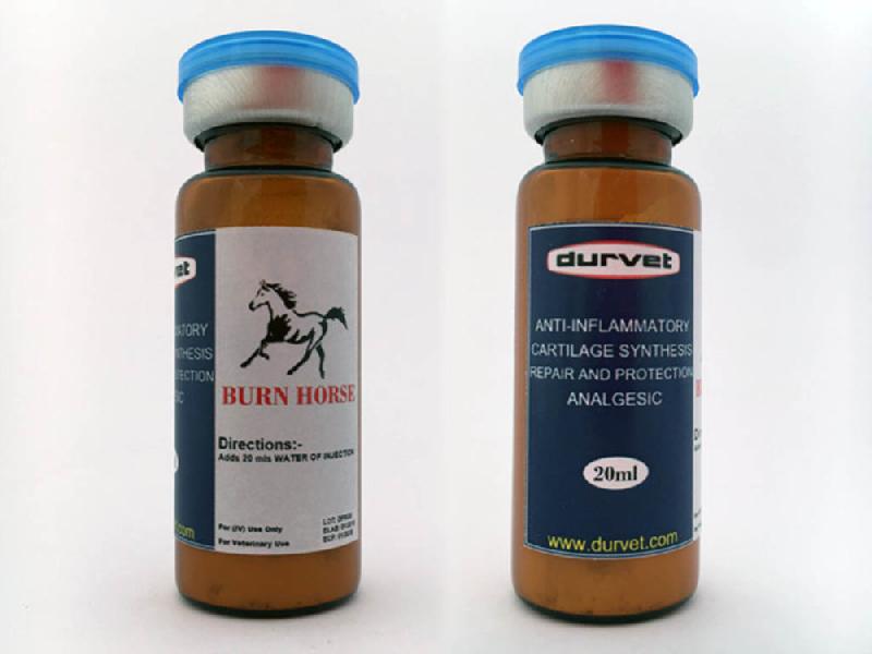 Burn Horse 20ml