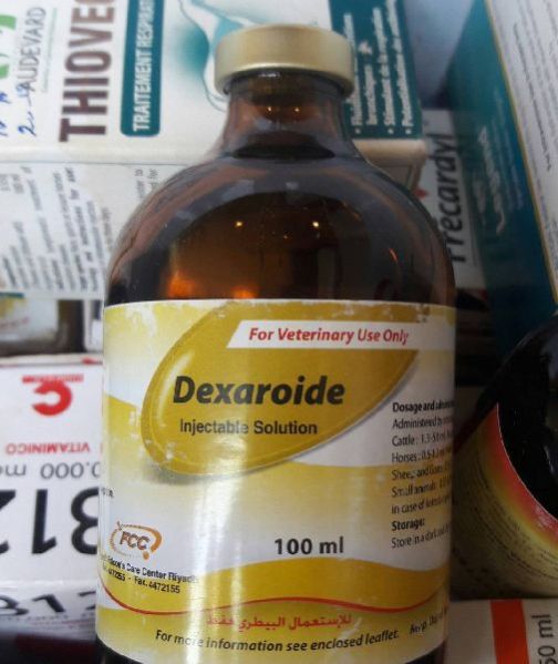 Dexaroide 100ml