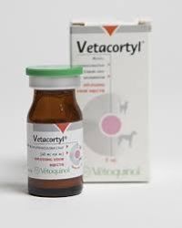 Vetacortyl 5ml