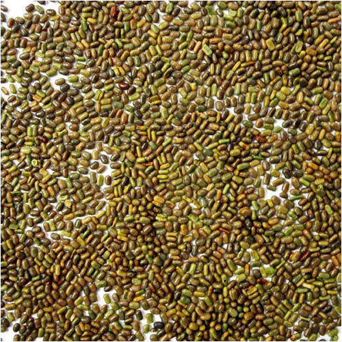 Sesbania Herbal Seeds