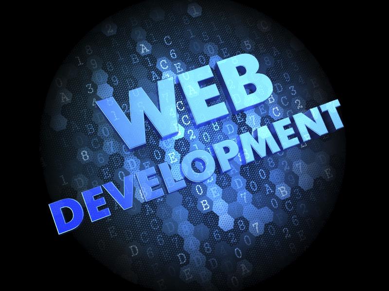 custom web development