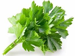 coriander leaves