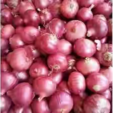 onions