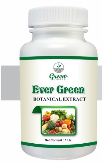 Ever Green Botanical Extract, Packaging Type : 20ml, 30ml, 50ml, 100ml, 250ml, 500ml, 1Litre In HDPE Bottles.
