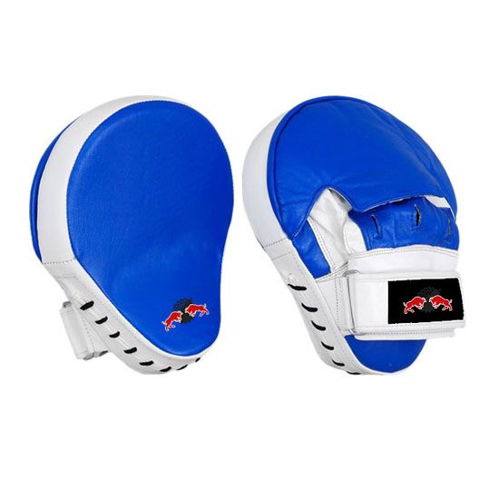 Boxing Focus Pads