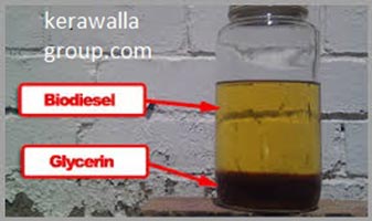 bio diesel oil