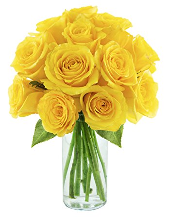 Fresh Yellow Cut Rose Flowers, for Decorative, Garlands, Vase Displays, Wreaths