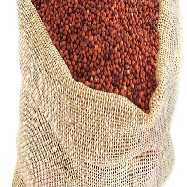 finger millet seeds