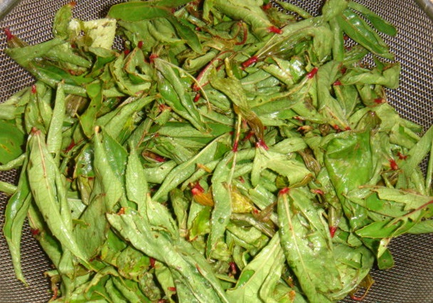 Gongura Leaves