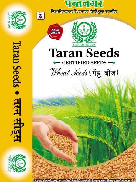 certified-wheat-seed-by-taran-seeds-certified-wheat-seed-inr-24-25