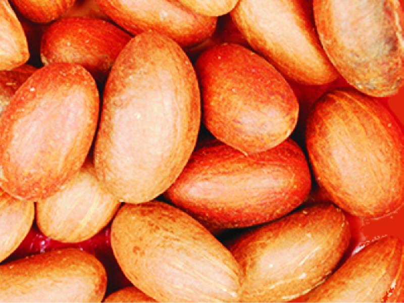 Bitter (Garcinia) Kola