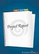 project report services