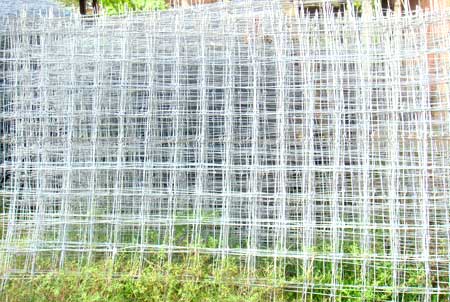 Galvanized Wire Netting Sheet
