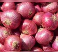 Fresh red onion