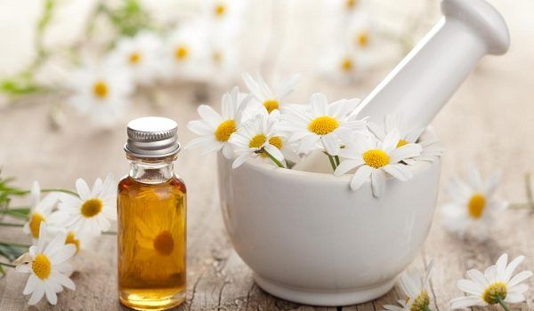 Chamomile Oil