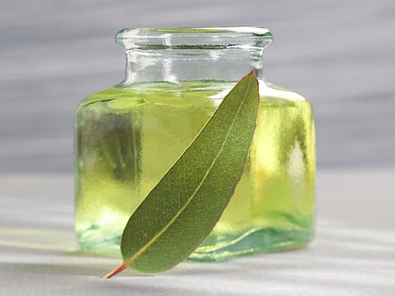 Eucalyptus Oil, for Fever, Infections, Stomach Issue, Feature : Aid Wound Care, Freshness, Purity