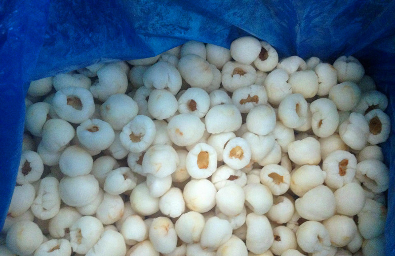 IQF Frozen Fresh Lichee