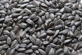 sunflower seeds