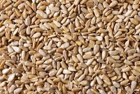 Sunflower Seeds Kernels