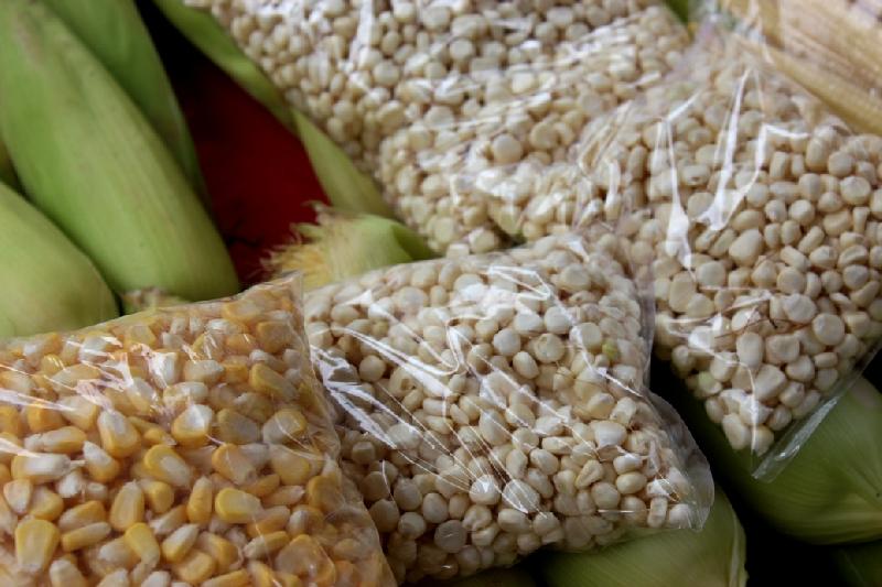 corn seeds