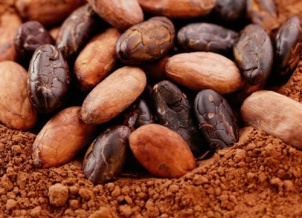 Organic Cocoa Products