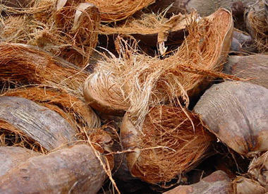 Common Coconut Husk, Packaging Type : Gunny Bags, Plastic Bags