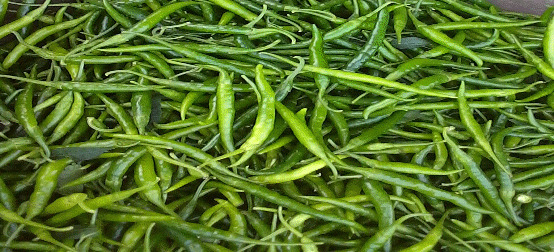 G4 Fresh Green Chilli