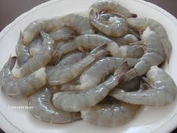 Frozen Vannamei Shrimps