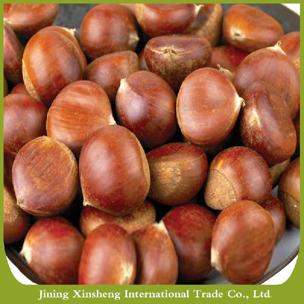 Fresh Chestnuts