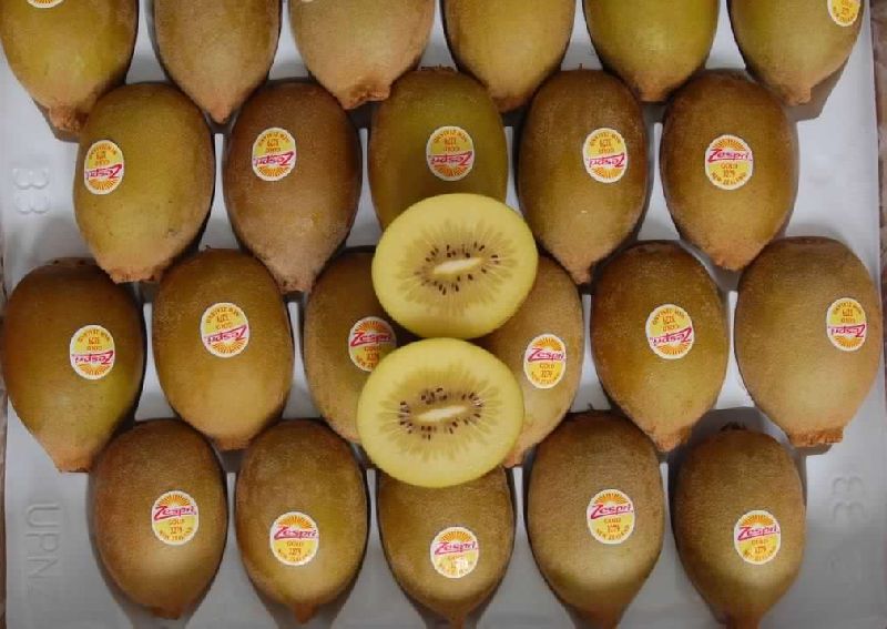 Fresh Kiwi fruits Manufacturer in Gauteng South Africa by Amafu Stock