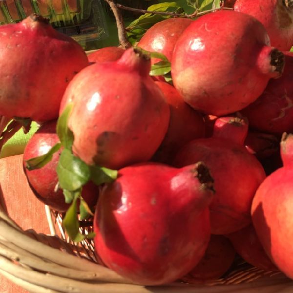 fresh pomegranate